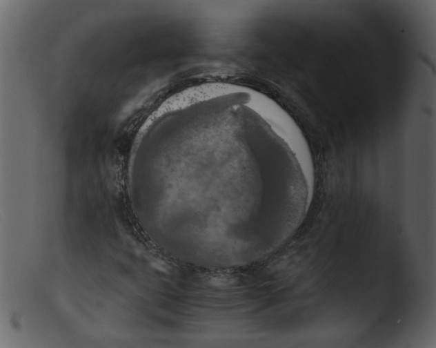 X0000103961399200810101233