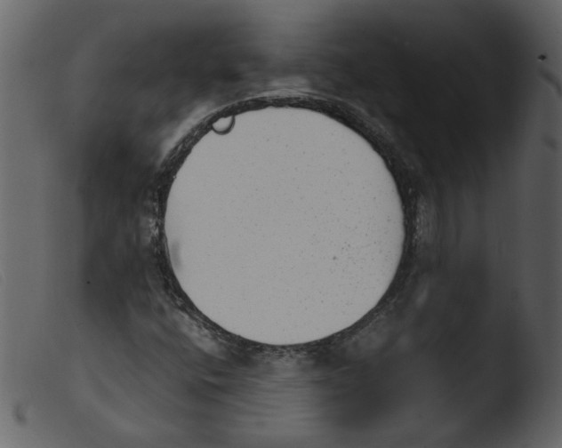 X0000103961400200810101233