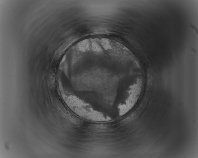 X0000103961401200810101234