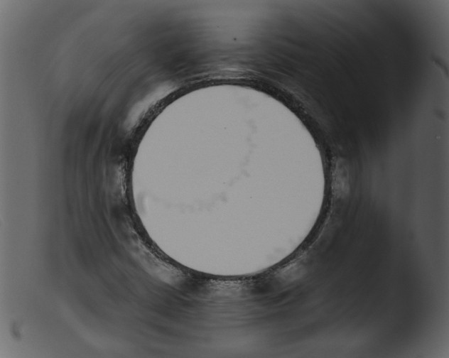 X0000103961402200810101234