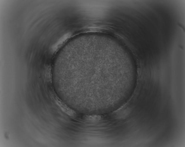 X0000103961403200810101234