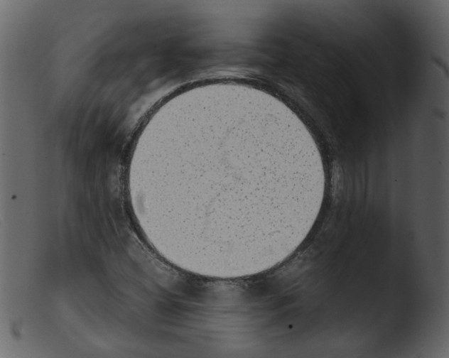 X0000103961404200810101234