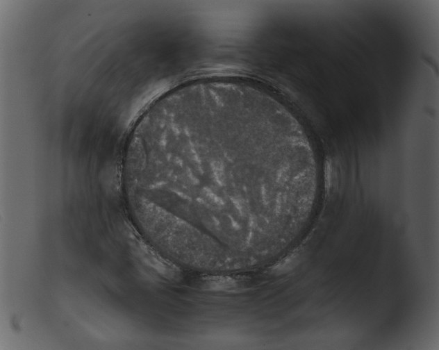 X0000103961405200810101234