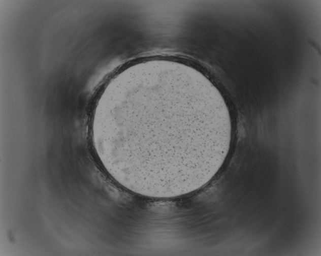 X0000103961406200810101234