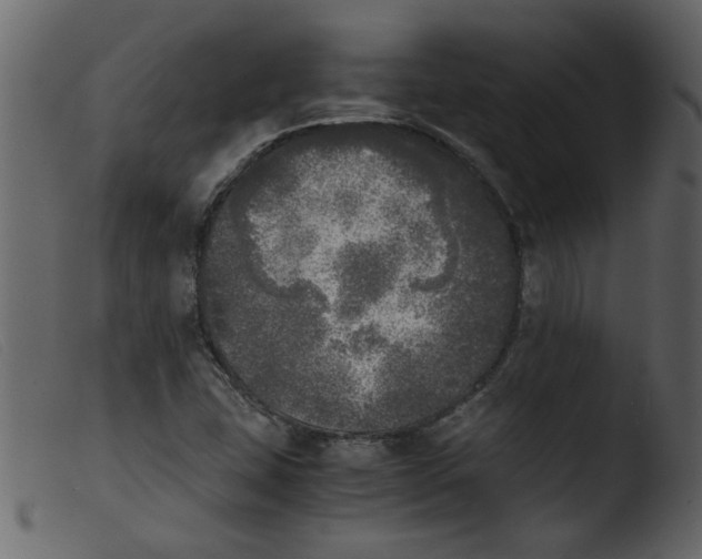 X0000103961407200810101234