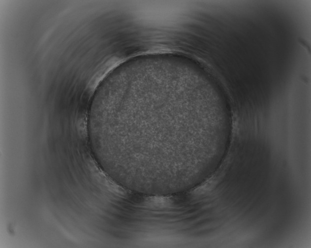 X0000103961409200810101234