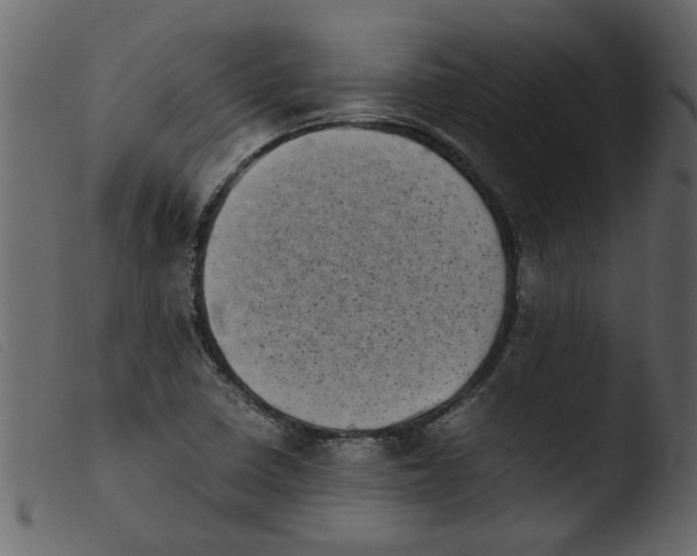 X0000103961410200810101234