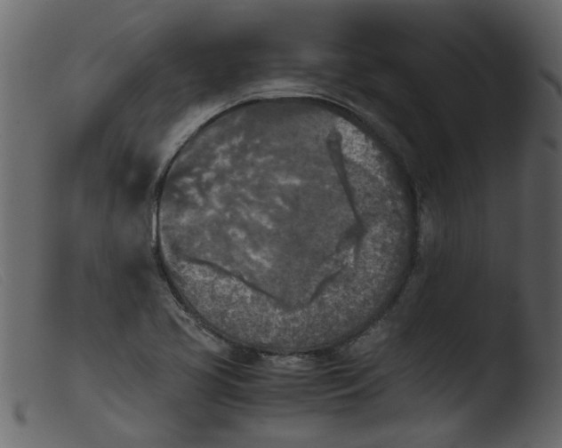 X0000103961413200810101234