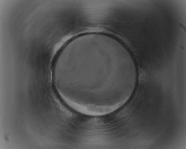 X0000103961414200810101234