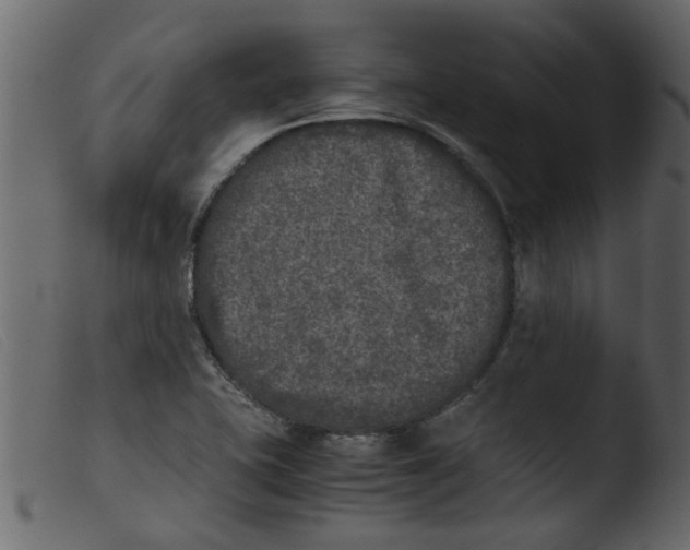 X0000103961415200810101234