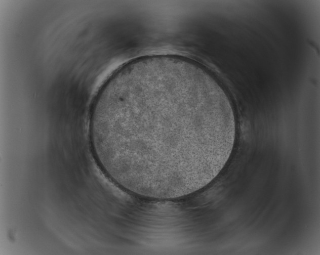 X0000103961416200810101234