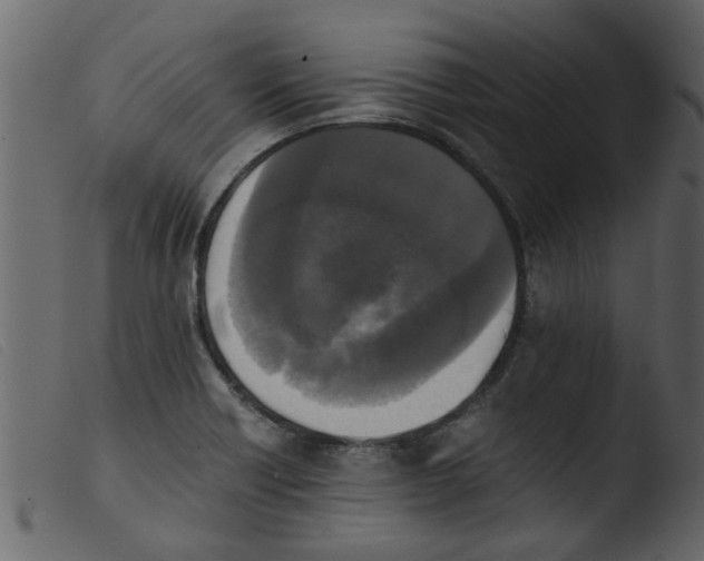 X0000103961418200810101234