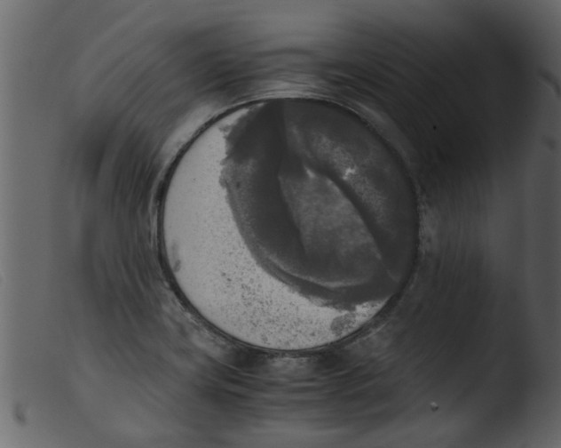 X0000103961419200810101234