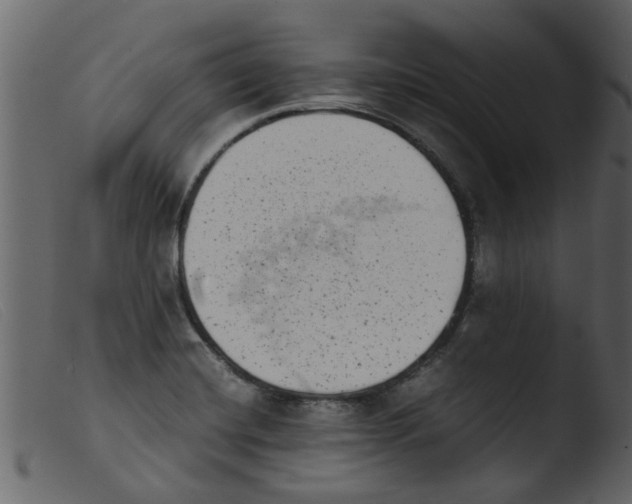 X0000103961420200810101234