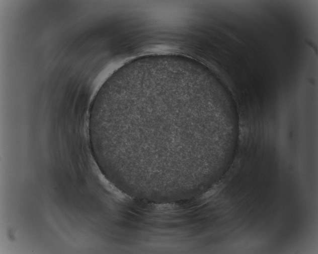 X0000103961421200810101234