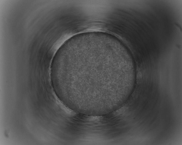 X0000103961423200810101234