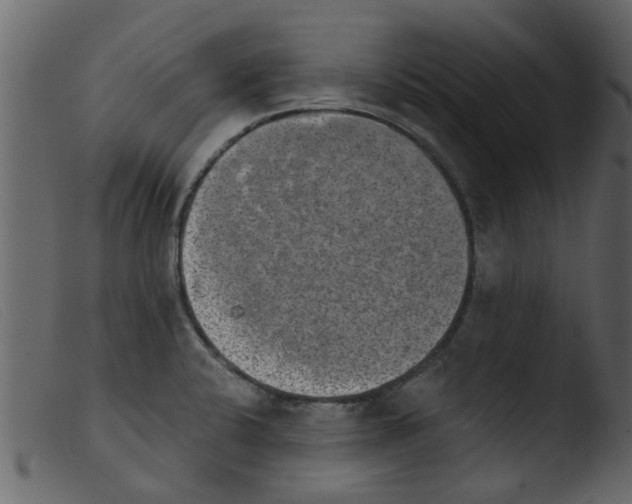 X0000103961424200810101234