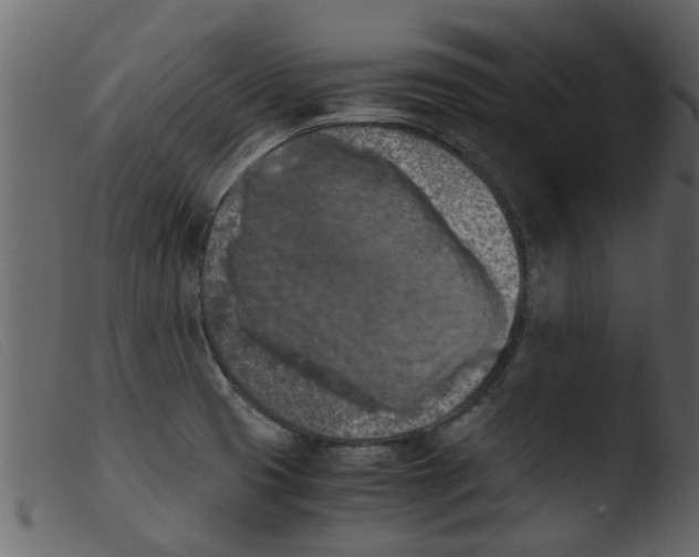 X0000103961425200810101234