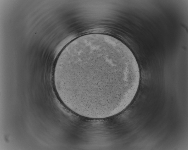 X0000103961426200810101234