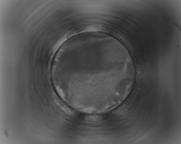 X0000103961427200810101234