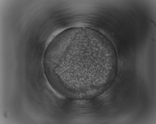 X0000103961429200810101234