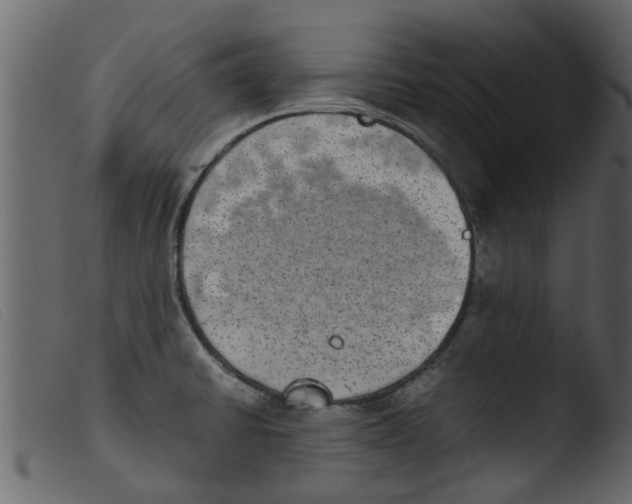 X0000103961430200810101234