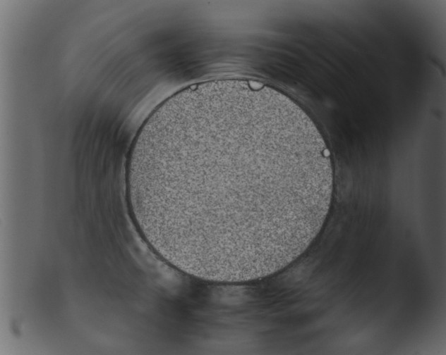 X0000103961431200810101234