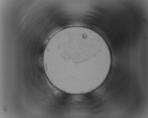 X0000103961433200810101234