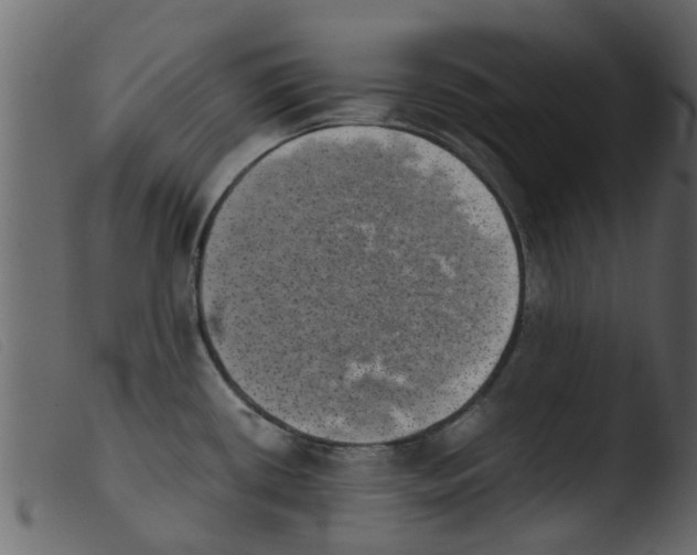 X0000103961434200810101234