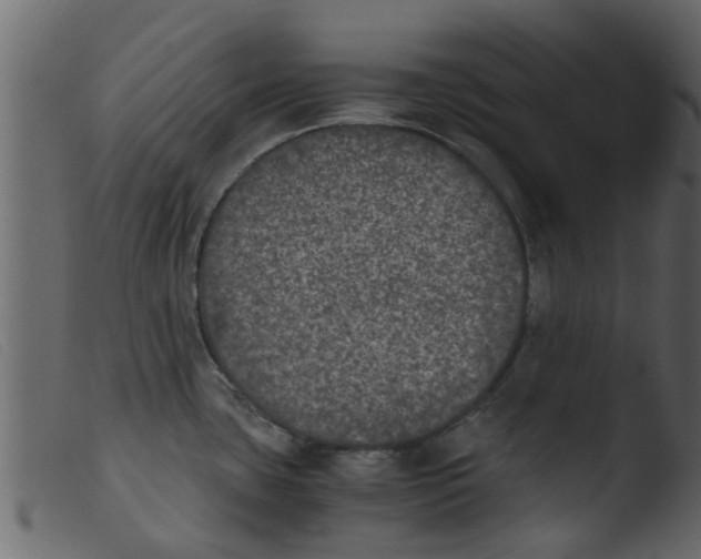 X0000103961435200810101234