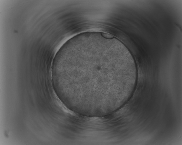 X0000103961436200810101234