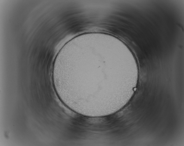 X0000103961437200810101234