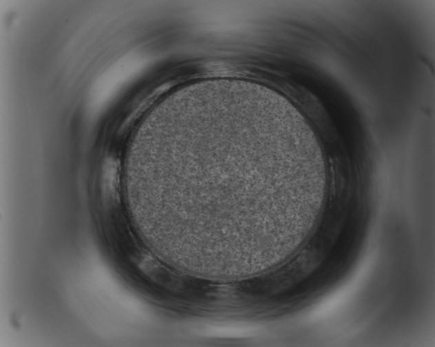 X0000103961438200810101234