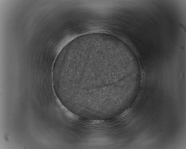 X0000103961439200810101234