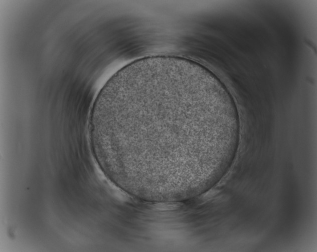 X0000103961440200810101234