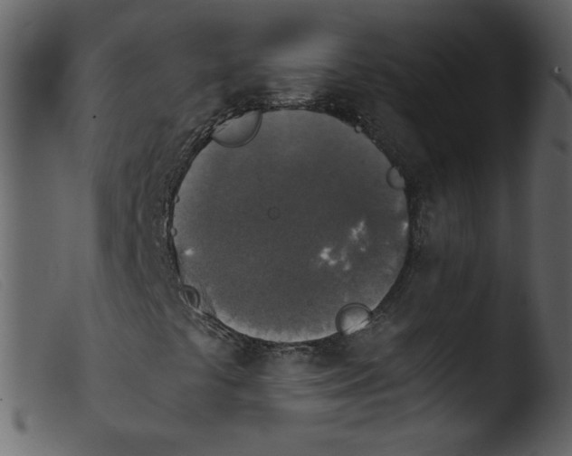 X0000103961441200810101233