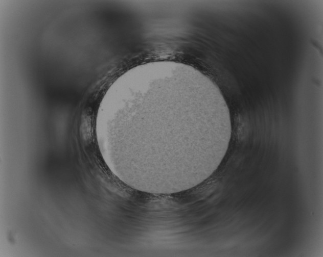 X0000103961442200810101233