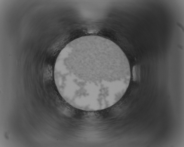 X0000103961443200810101233