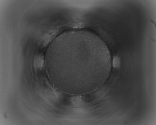 X0000103961444200810101233