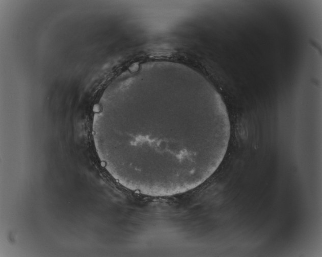 X0000103961445200810101233