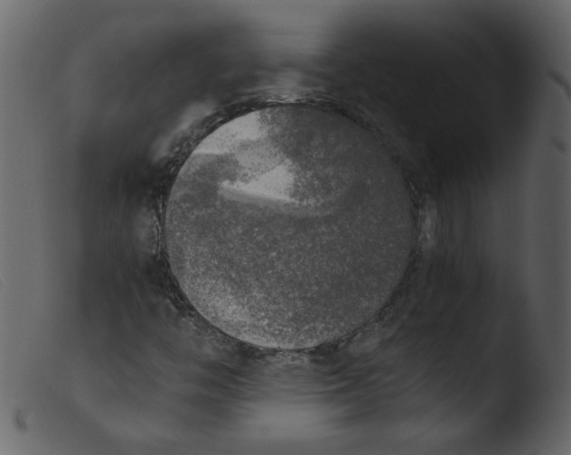 X0000103961446200810101233