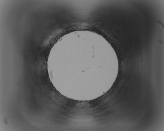 X0000103961447200810101233