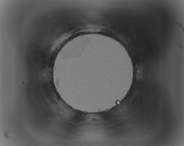 X0000103961448200810101233