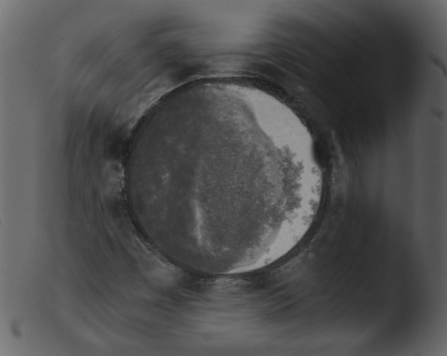 X0000103961449200810101233