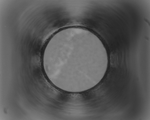 X0000103961452200810101233