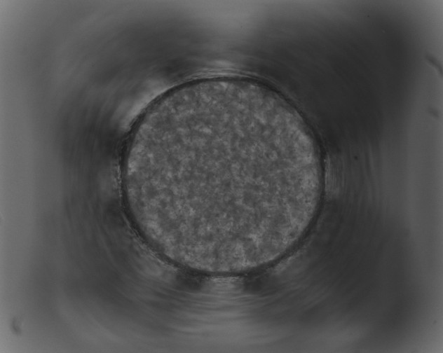 X0000103961453200810101233