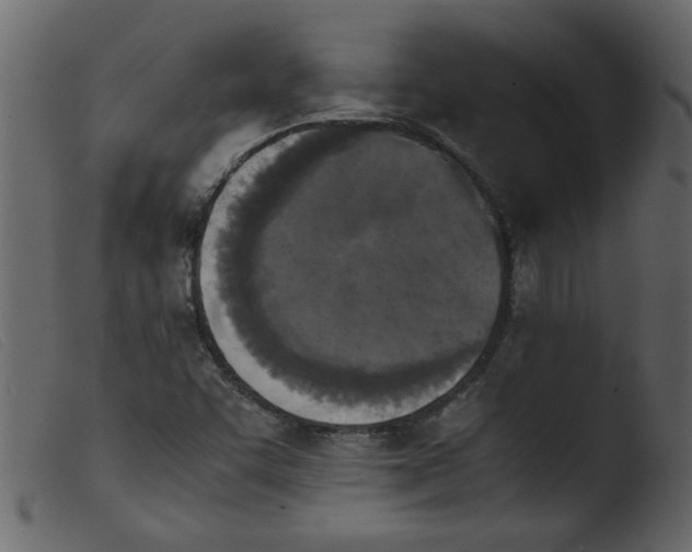 X0000103961455200810101233