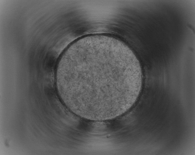 X0000103961457200810101233