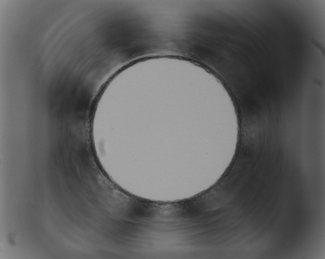 X0000103961460200810101233