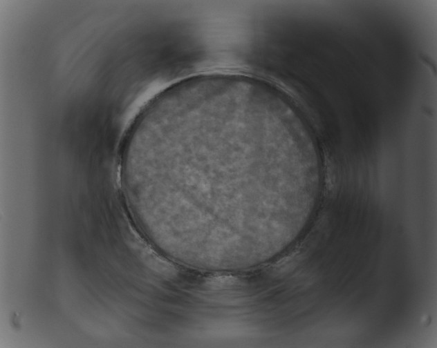 X0000103961462200810101233